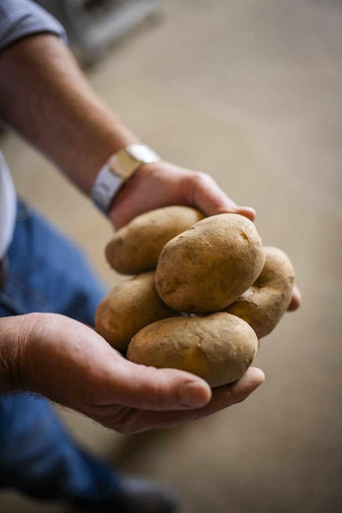 Aardappelen in hand